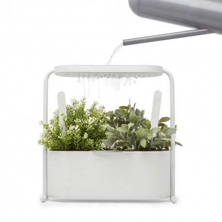 Échelle étagère jardinière pour plantes et aromatiques – Blanc – LAPADD